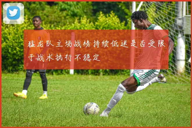 猛龙队主场战绩持续低迷是否受限于战术执行不稳定